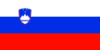 125px-Flag_of_Slovenia.svg.png